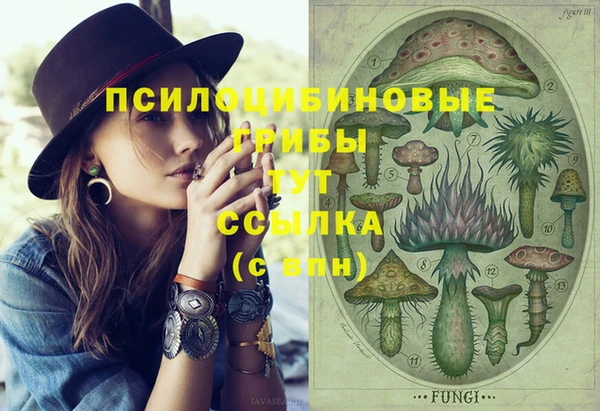 Альфа ПВП Медногорск